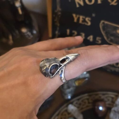 Raven Skull Ring photo review