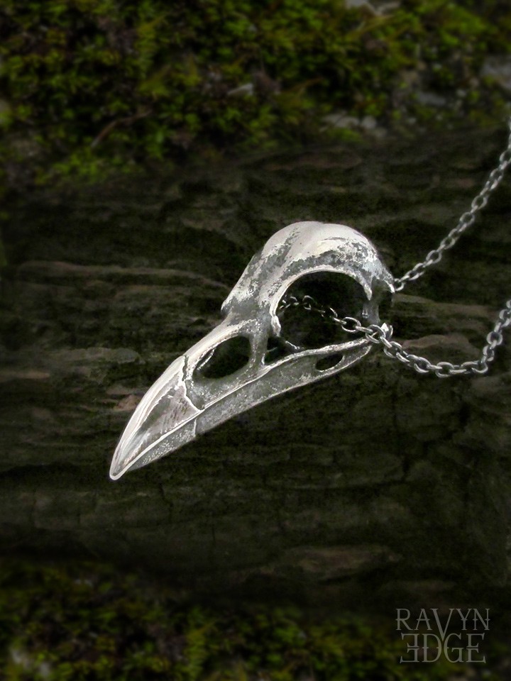 Details about   Large Unisex Raven Skull Pendant Necklace Solid Stainless Steel Bird Crow 2076 