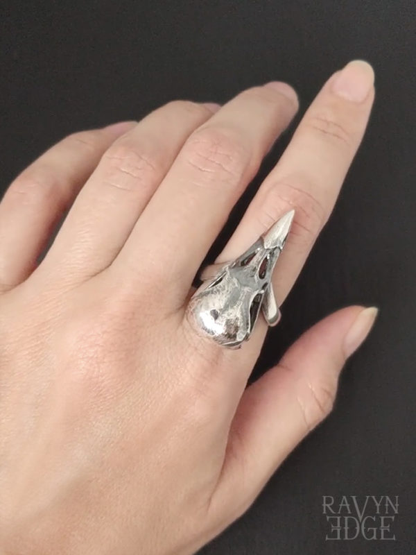 Sterling silver bird skull ring