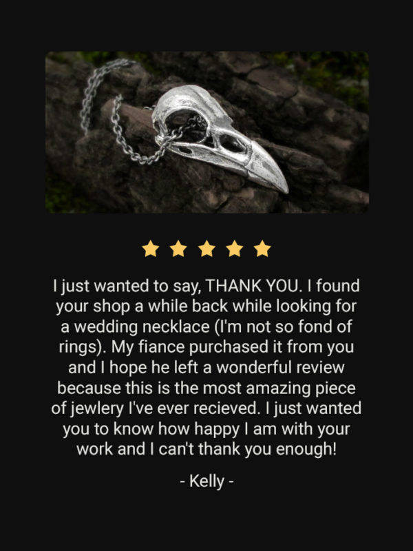 5 star review of medium raven skull pendant necklace in sterling silver