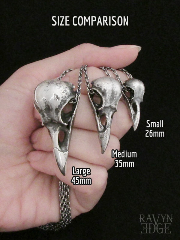 Size comparison of small medium and large raven skull necklaces