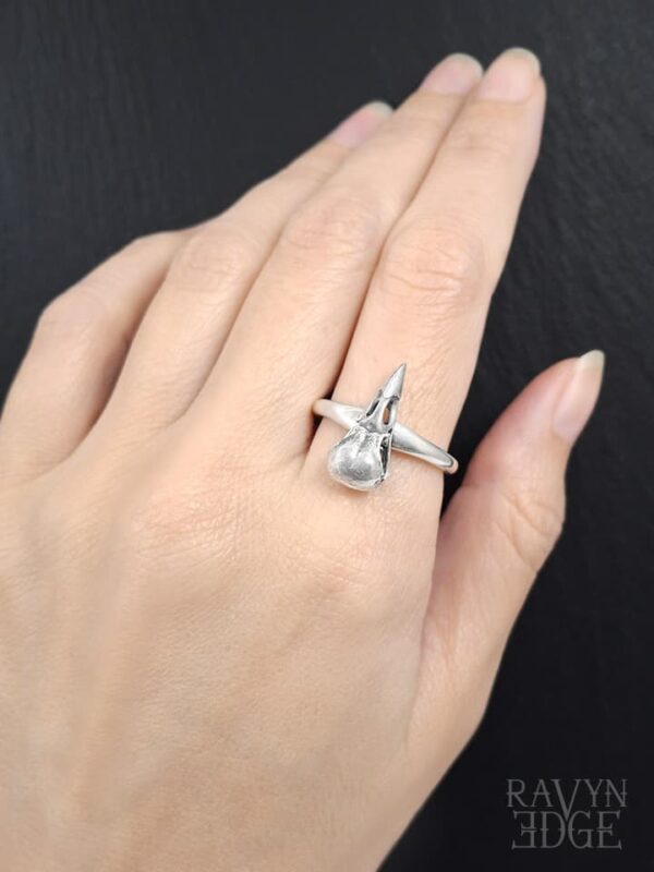 Bird skull raven witch's ring